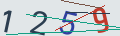 verifycode